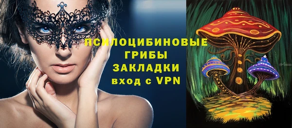 ECSTASY Абаза
